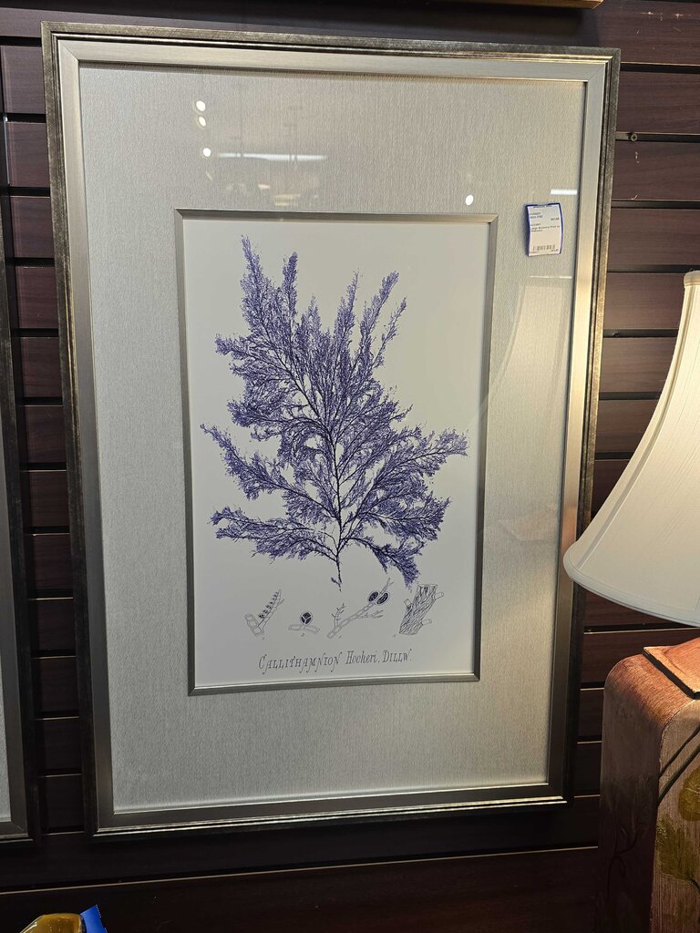 Large Botanical Print by Uttermost