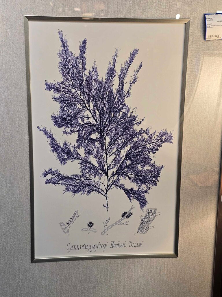 Large Botanical Print by Uttermost
