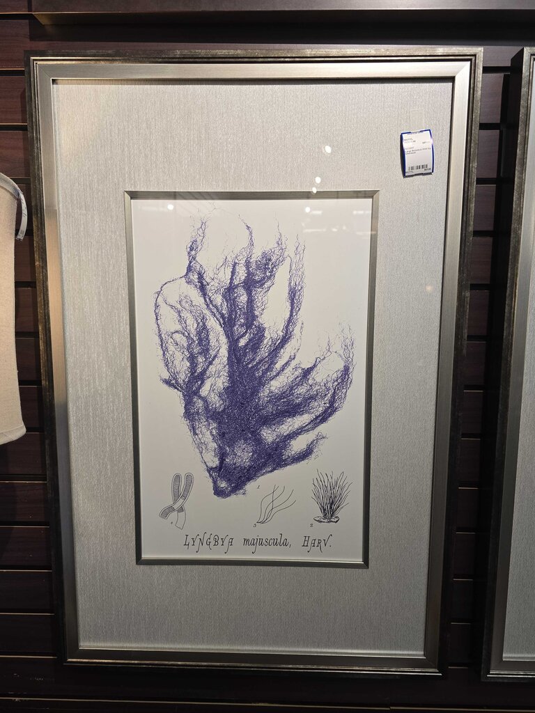 Large Botanical Print by Uttermost