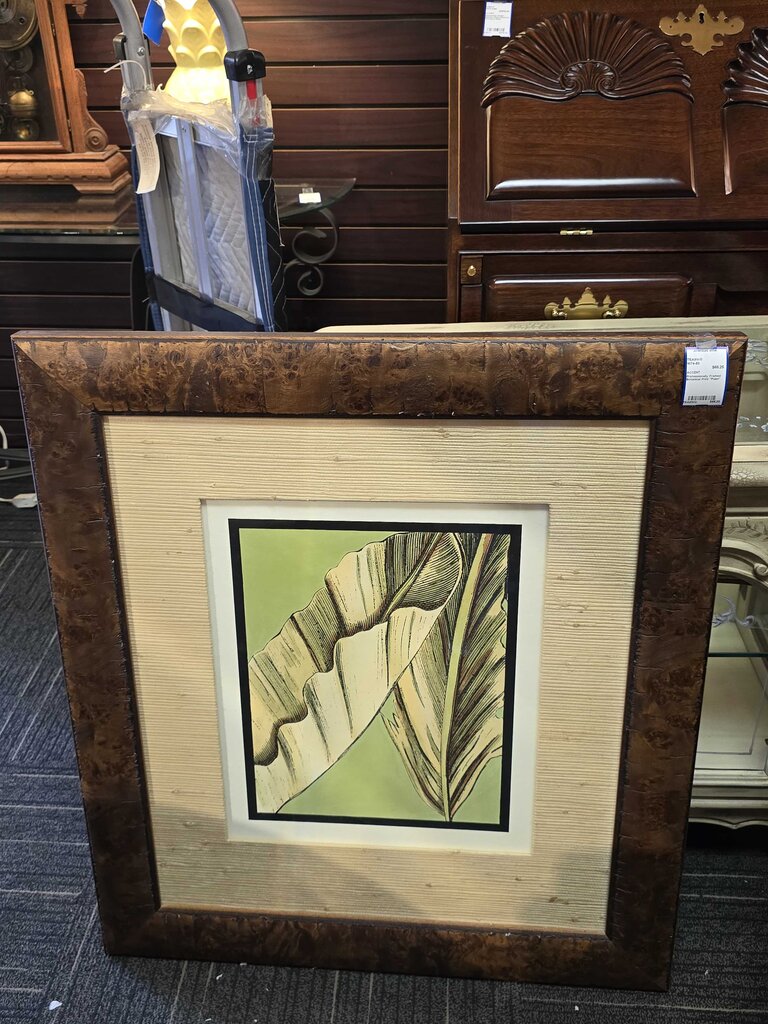 Professionally Framed Botanical Print "Palm"