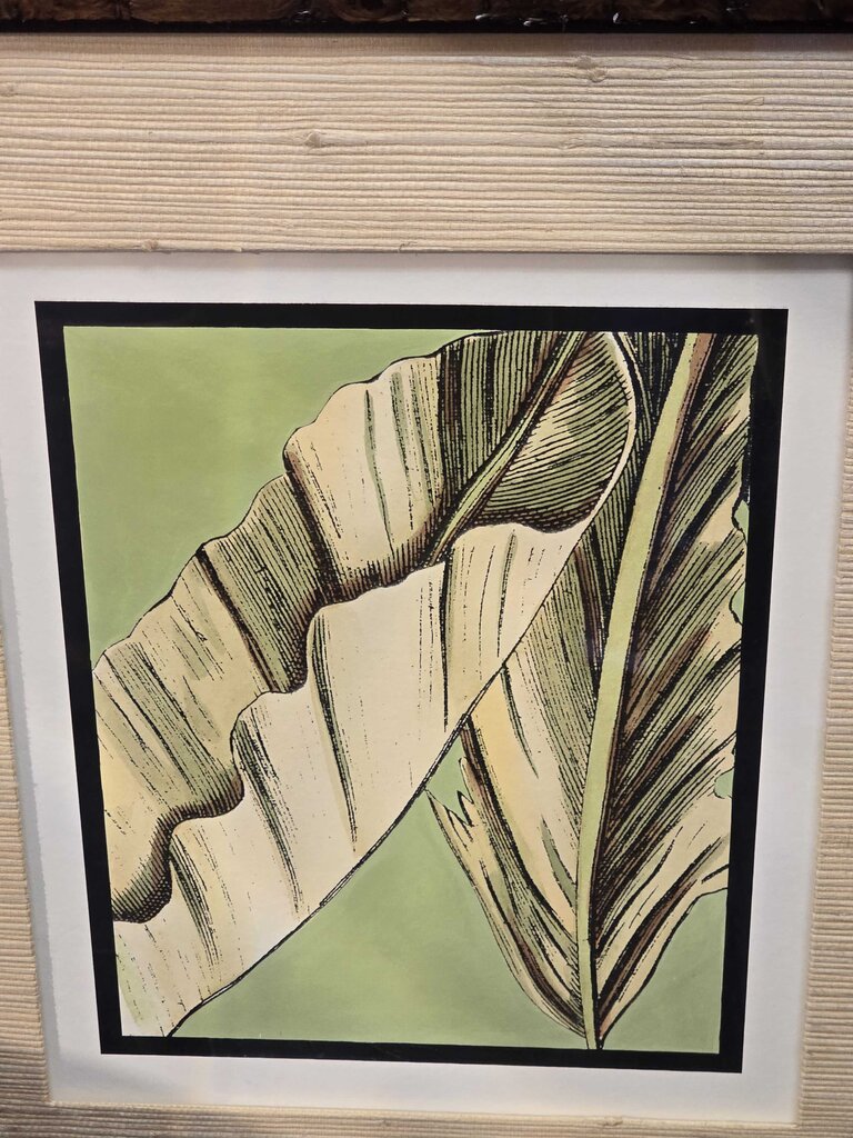 Professionally Framed Botanical Print "Palm"