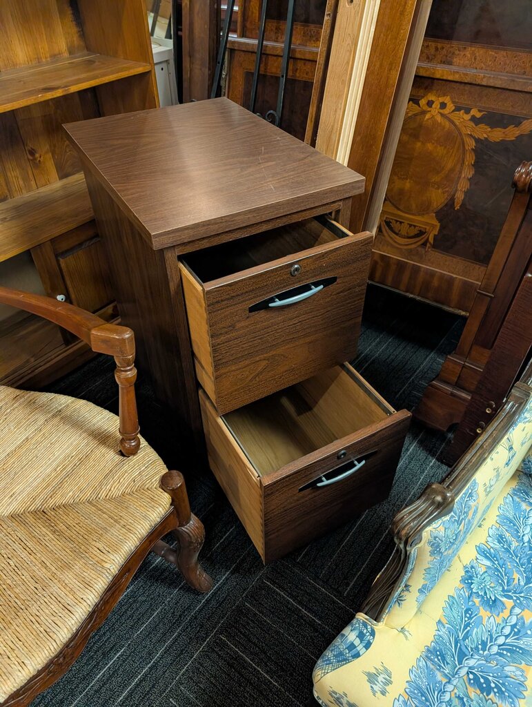 Vintage Two Drawer File Cabinet