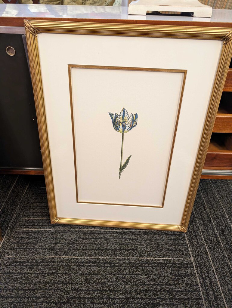 Professionally Framed Blue Tulip Print