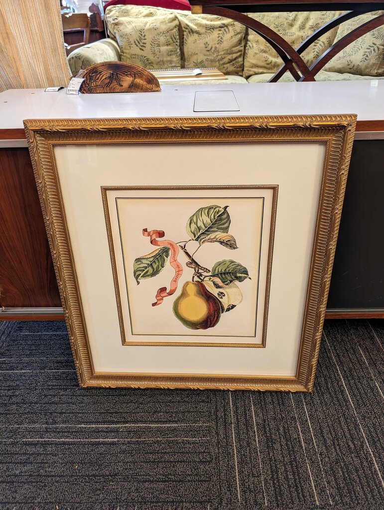 Professionally Framed Botanical Pear Print