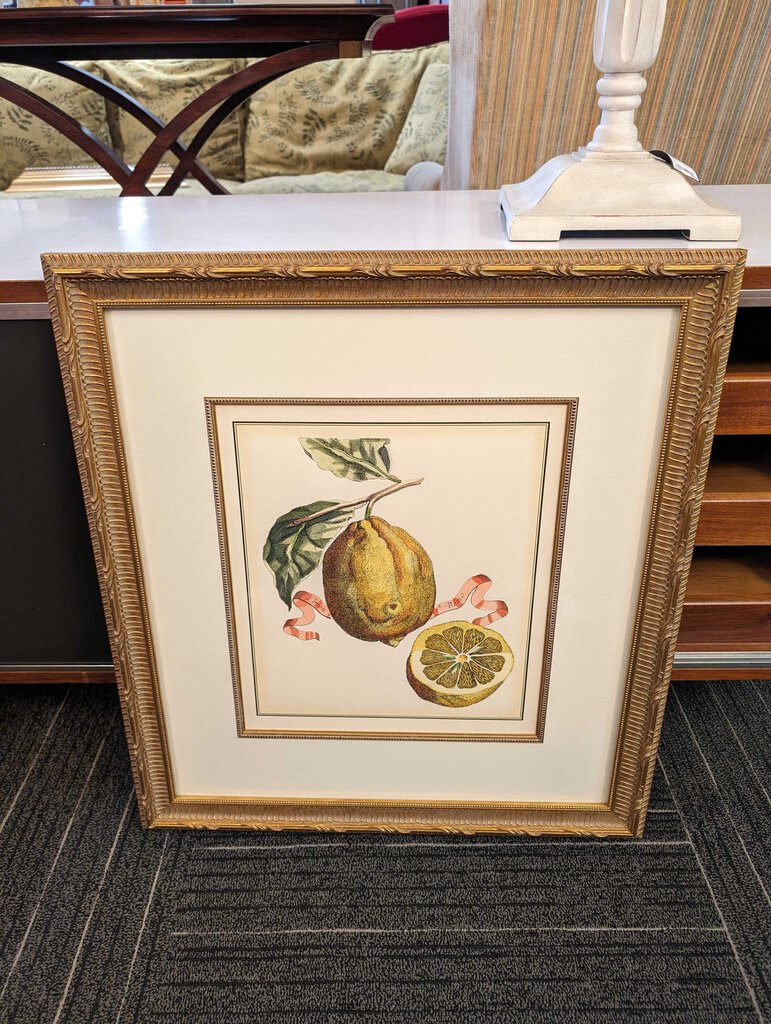 Professionally Framed Botanical Lemon Print