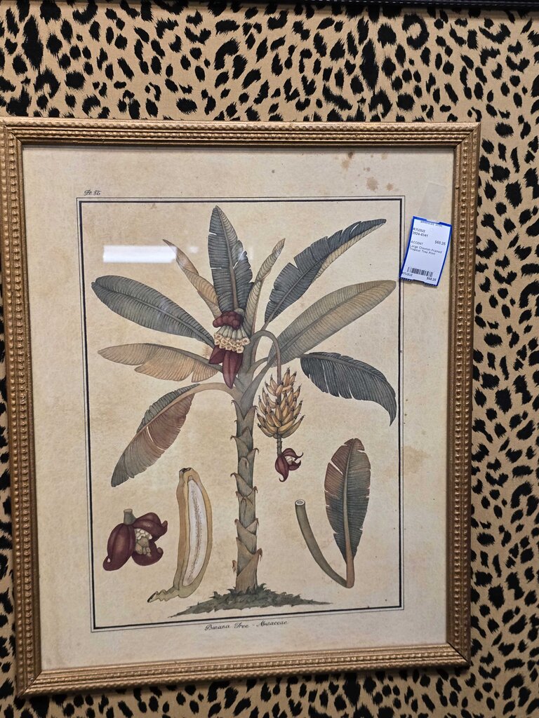 Large Cheetah Framed Tropical Tree Print