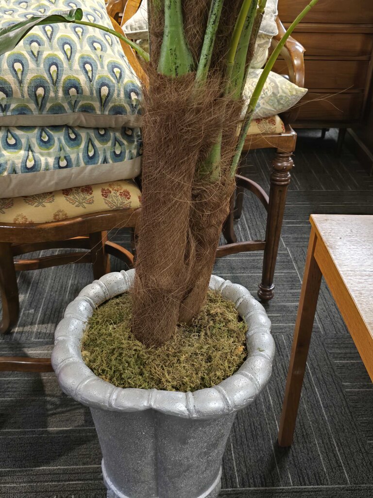 Large Faux Tropical Potted Tree