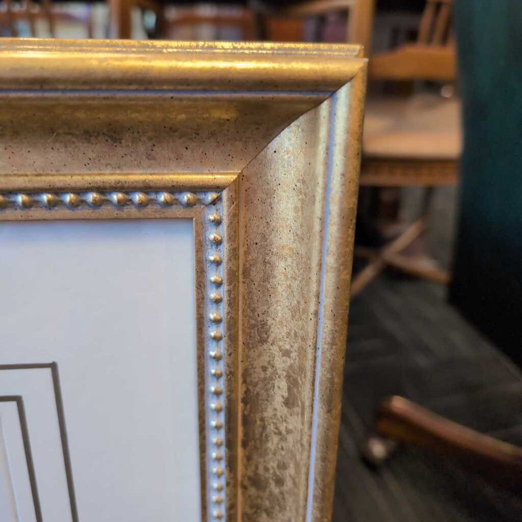 Professionally Framed Bird Print by John Gould