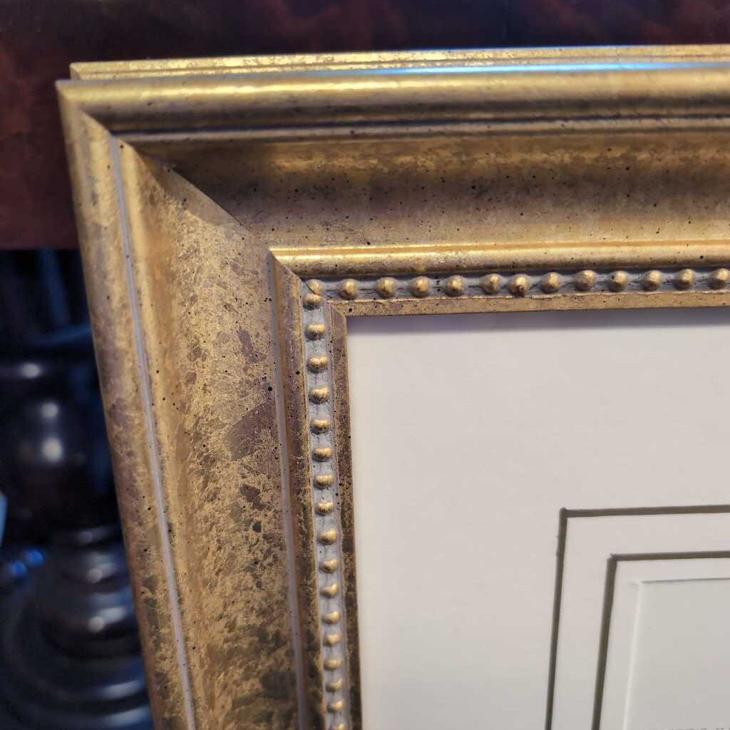 Professionally Framed Bird Print by John Gould