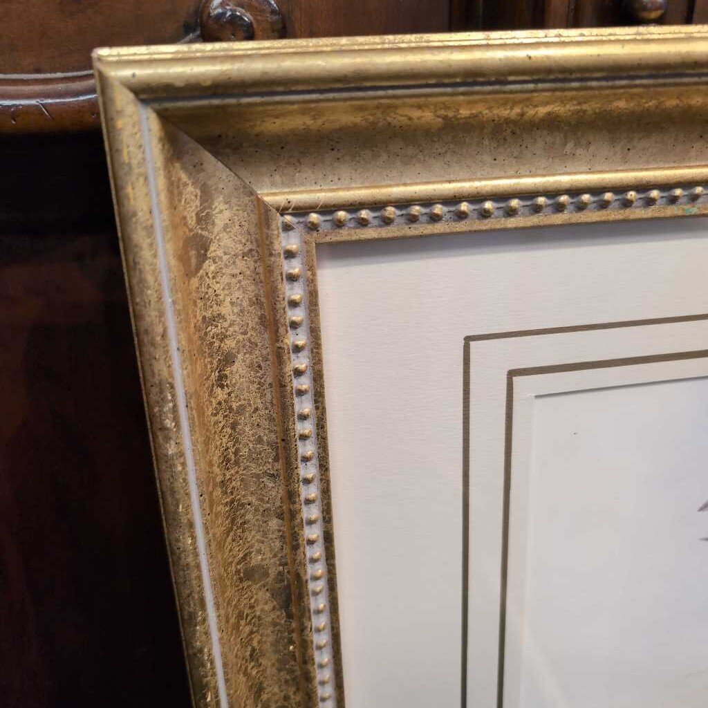Professionally Framed Humming Bird Print by John Gould