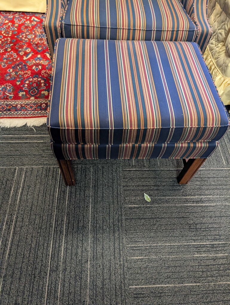 Formal Striped Blue Wingback Chair & Ottoman by Disque