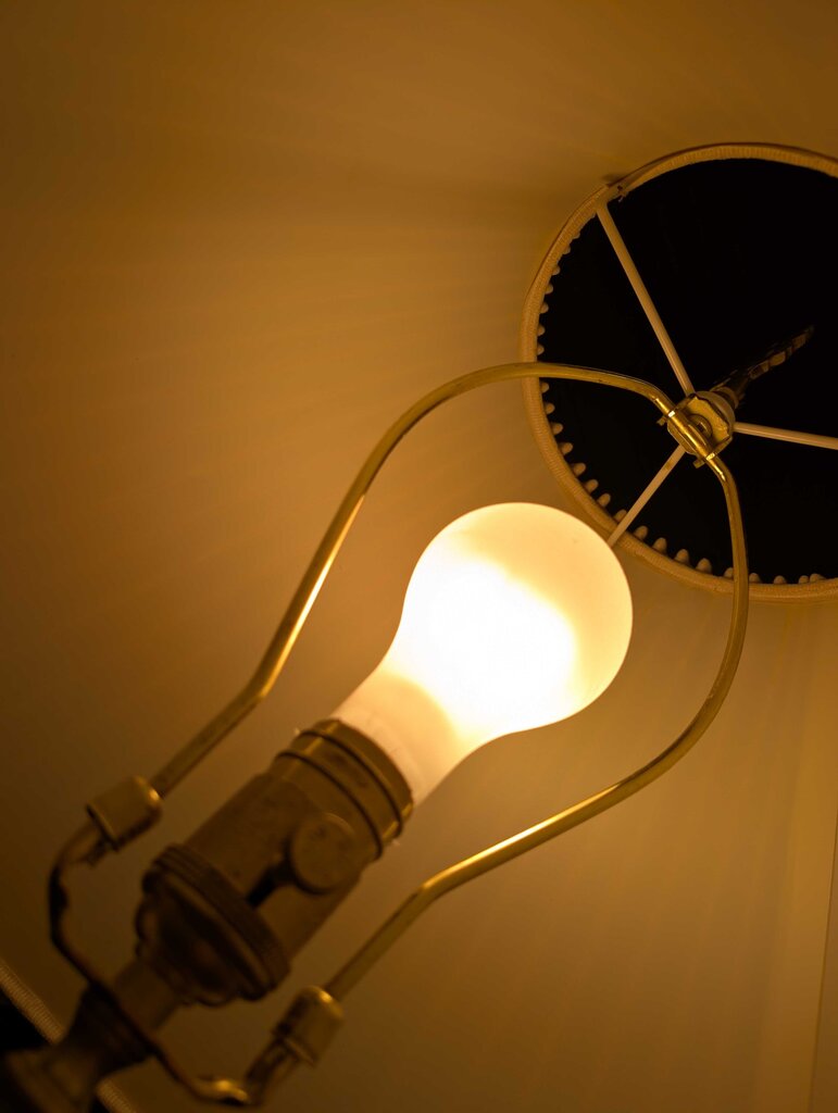 Designer "Fall" Asian Inspired Lamp by Wildwood