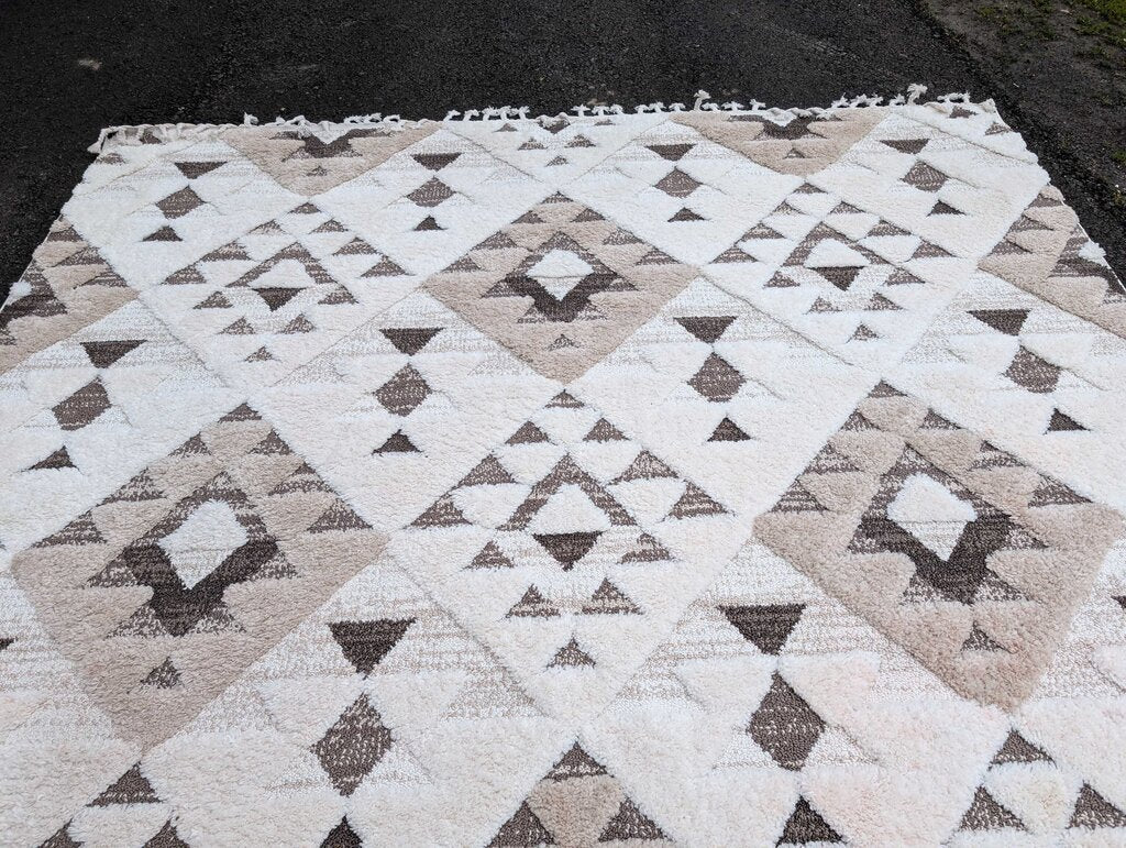 Tassel Shag Area Rug By Safavieh 10'x14'