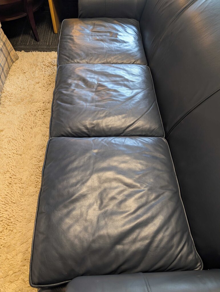 Navy Blue Leather Sofa By Birch Lane