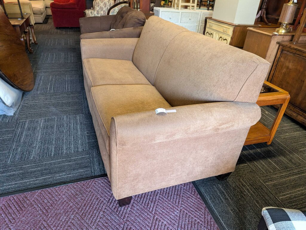 Sleeper Sofa